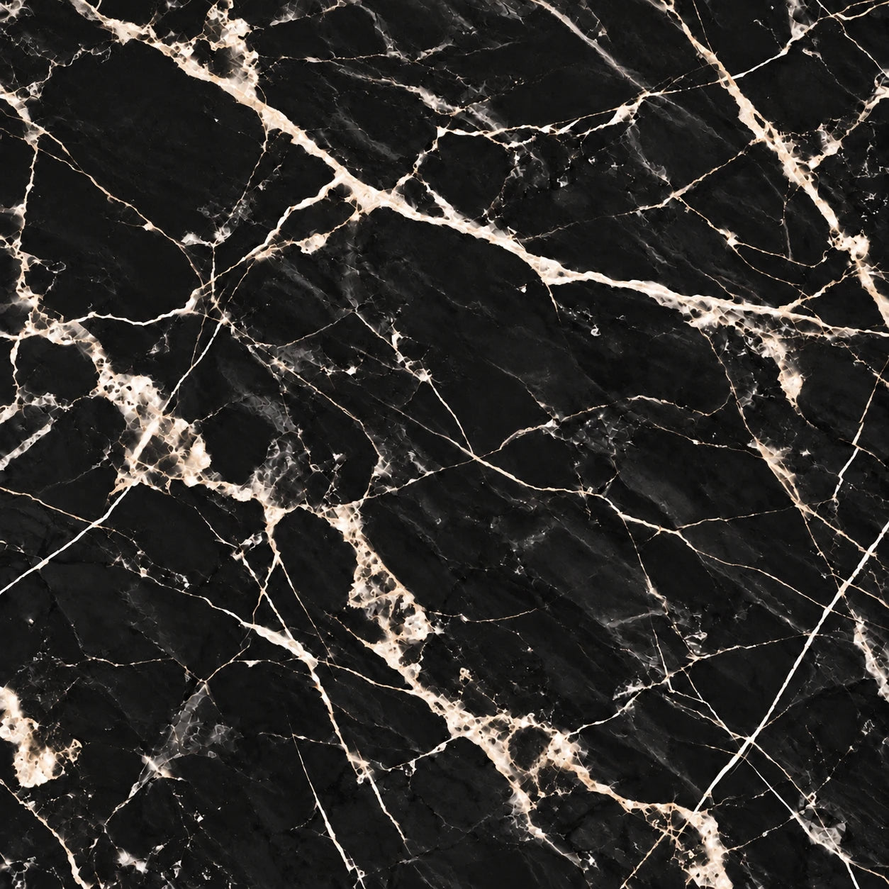Dark marble with pale, branching veins