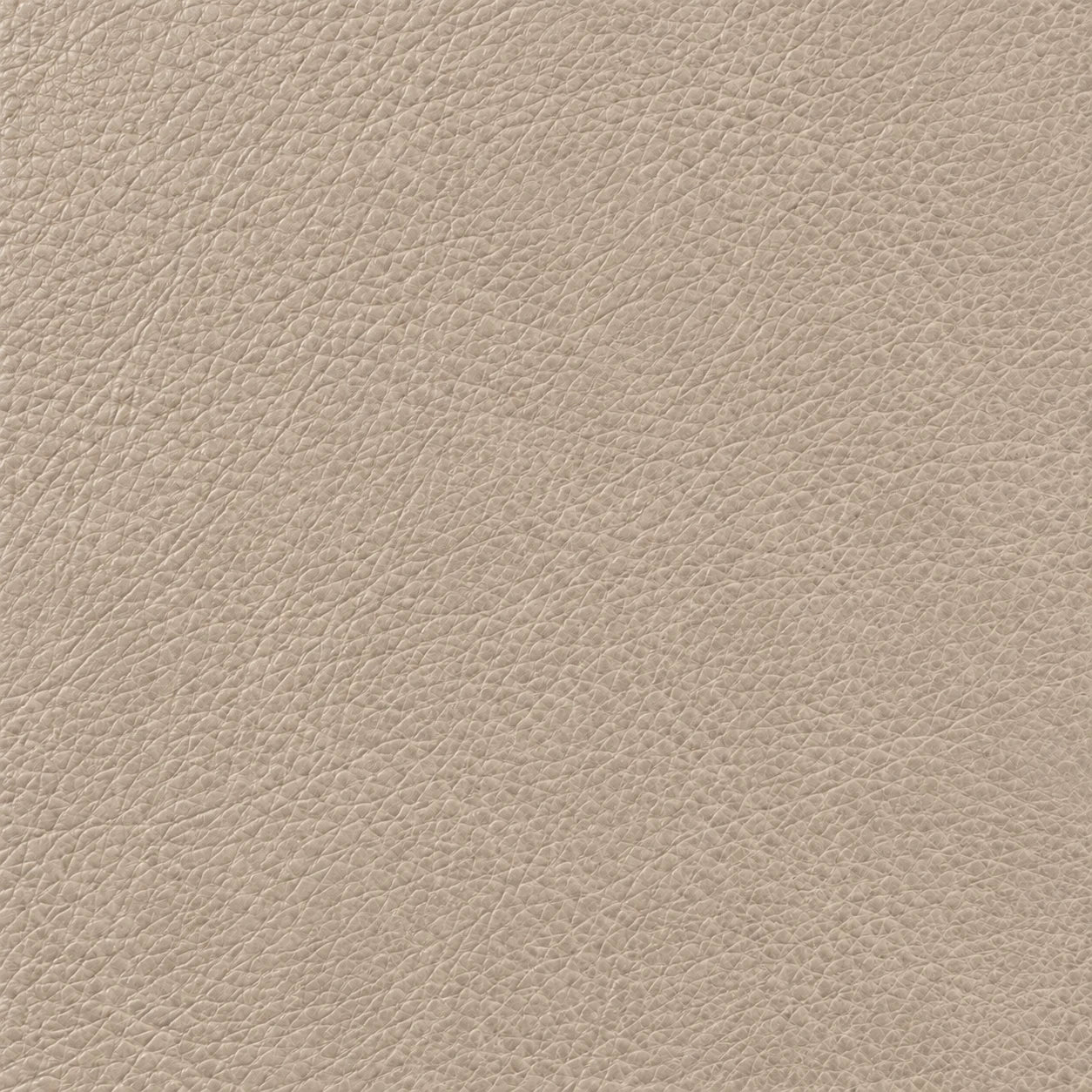 Leather texture