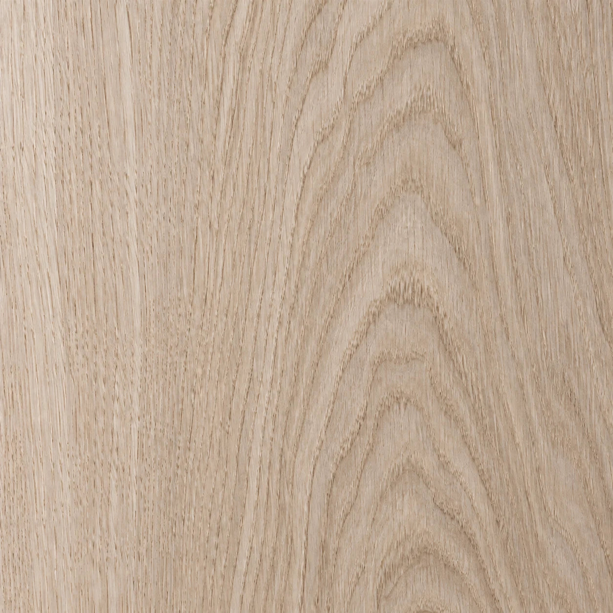 White oak texture